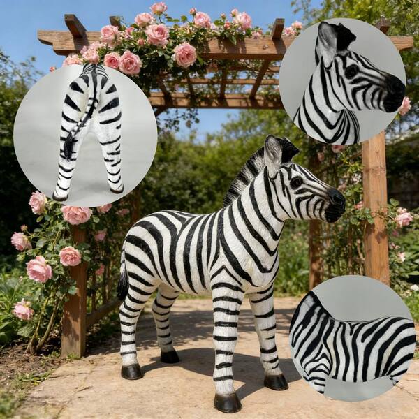置物 Swimsuit Department Chicken Head Zebra FUNKOL White 19.49 in. W x 18.31 in. H Resin Zebra Garden Statue