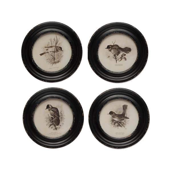 Storied Home 4-Piece Wood Framed Bird Art Print 9.5 in. x 9.5 in .