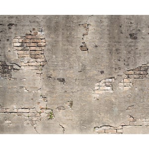 Broken Concrete Wall Mural