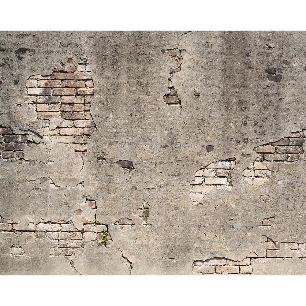 Wall Rogues Broken Concrete Wall Mural Wr505 The Home Depot