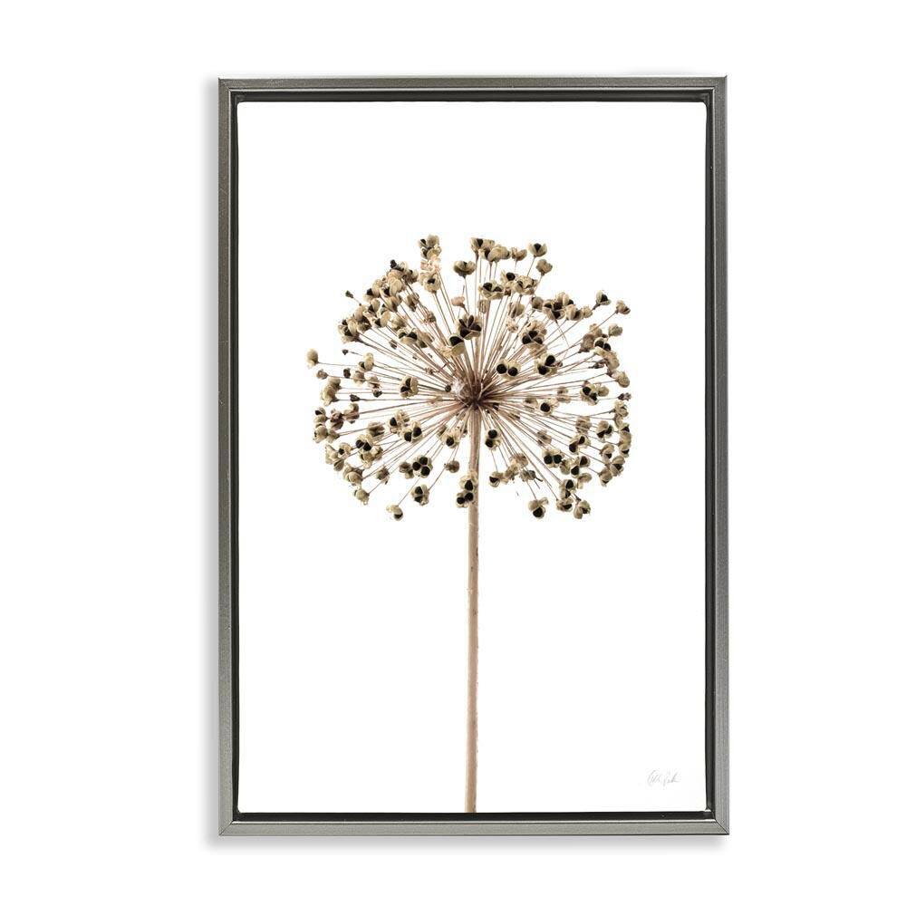 Minimal Allium Bud by Deborah Revell Gray Floater Frame Nature Graphic Art Print 31 in. x 21 in. price history on PriceWatchPro
