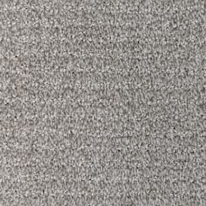 8 in. x 8 in. Pattern Carpet Sample - Tailgate Classic - Color Pathfinder