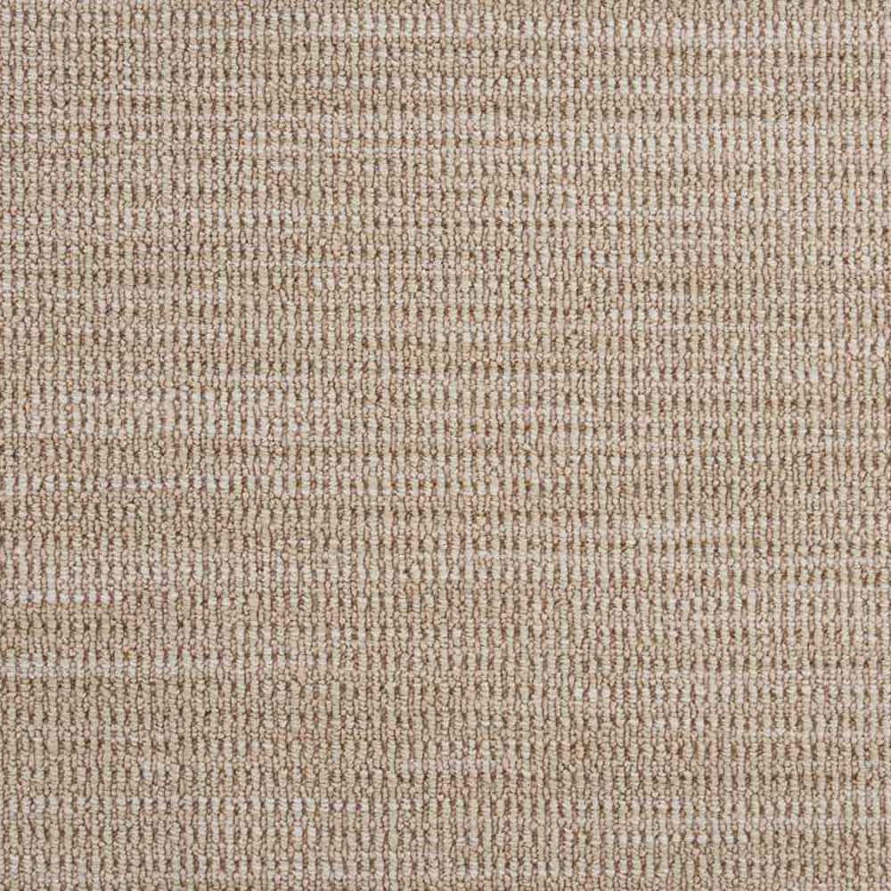 6 in. x 6 in. Loop Carpet Sample - Hypnotic - Color Willow price history on PriceWatchPro