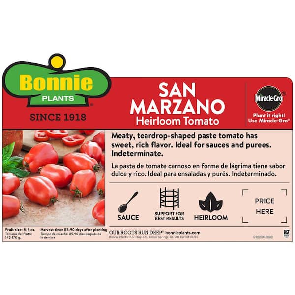 19 oz. San Marzano Tomato Plant