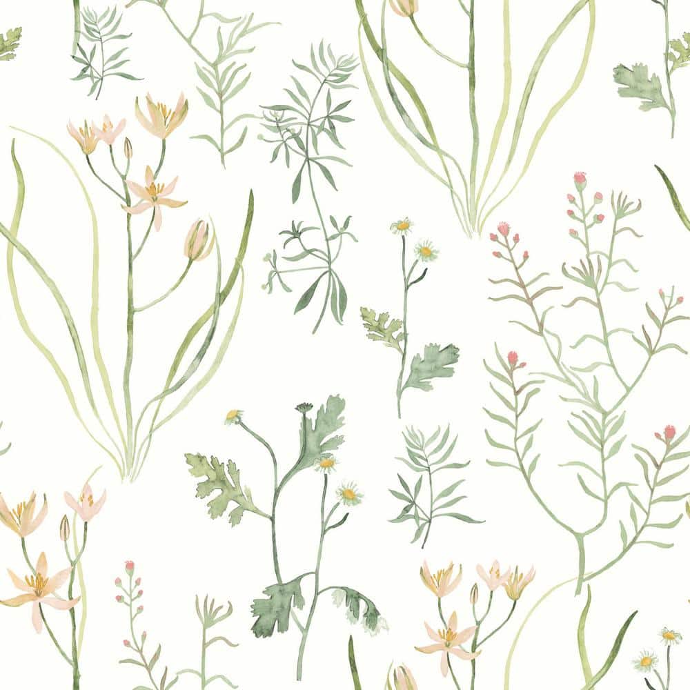 Peach and Orange Botanical Peel & Stick Wallpaper Roll