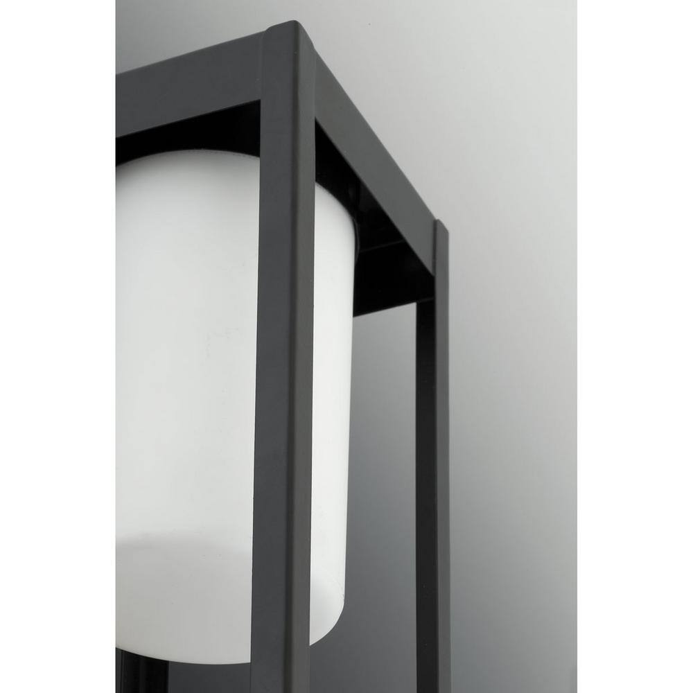 Patewood Black Stainless Steel Outdoor Wall Lantern Sconce
