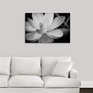 "Black And White Flower II" by Dream On Photography Canvas Wall Art