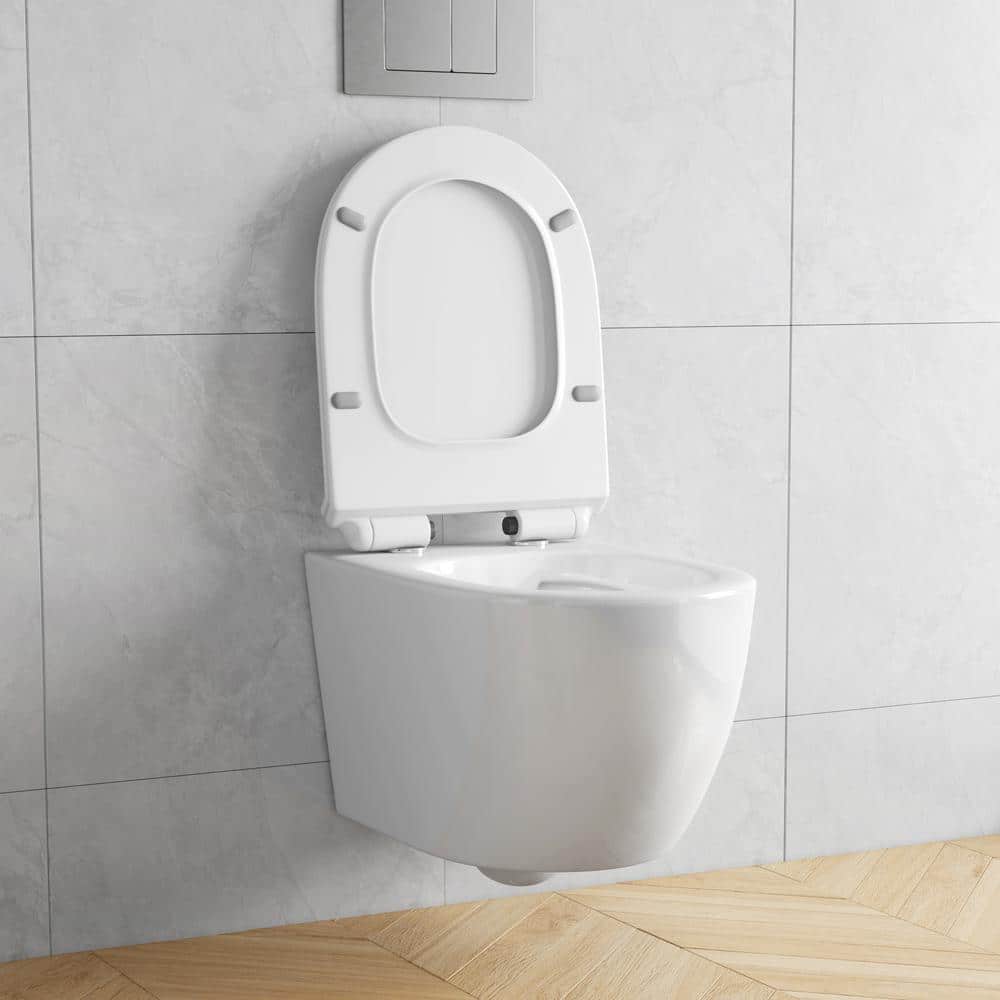 Hampton White Wall Mounted Dual Flush Toilet