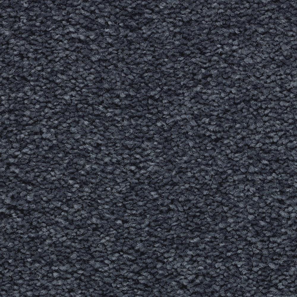 8 in. x 8 in. Texture Carpet Sample - Unblemished I -Color Harbour price history on PriceWatchPro