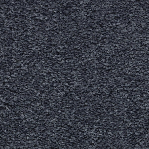 Lifeproof 8 in. x 8 in. Texture Carpet Sample - Unblemished II -Color Harbour