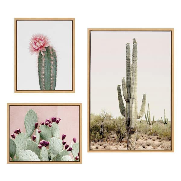 Sylvie "Sunrise Cactus, " by Amy Peterson Art Studio 3-Piece Natural Framed Art Print Set 33 in. x 23 in.