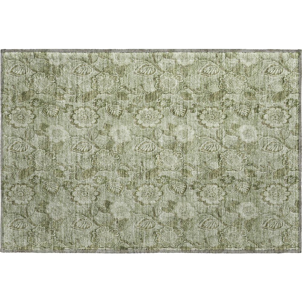Mayfield Premium Machine Washable Abstract AMF1939 Aloe 2 ft. x 3 ft. Accent Rug price history on PriceWatchPro