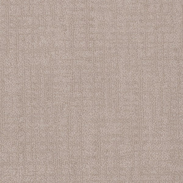 Home Decorators Collection 8 in. x 8 in. Pattern Carpet Sample - Oakland Hills -Color Porcelain