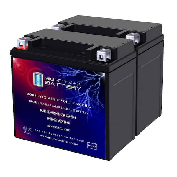 MIGHTY MAX BATTERY 12-Volt 12 AH 200 CCA SLA Battery (2-Pack)