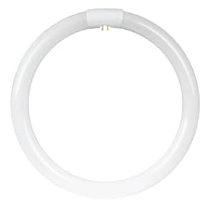 32-Watt 12 in. T9 G10q Linear Circline Fluorescent Tube Light Bulb, Cool White 4100K (1-Bulb)