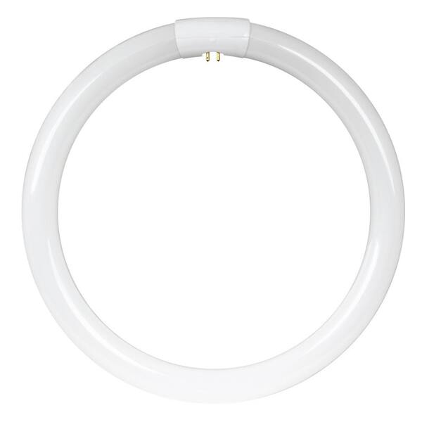 FEIT Electric F6T5/CW/RP 6-Watt T5 Fluorescent Bulb – 9 Inch, Cool White, 1-Pack