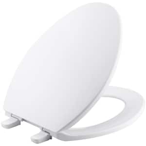 Wellworth Elongated Closed Front Toilet Seat in White (2-Pack)
