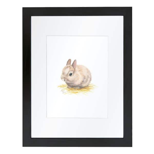Unbranded Barnyard Littles "Bunny" by Alyssa Lewis Individual Black Framed with Mat Animal Art Print 20 in. x 16 in.