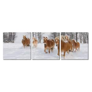 Horse Herd Unframed Photography Wall Art 20 in. x 20 in