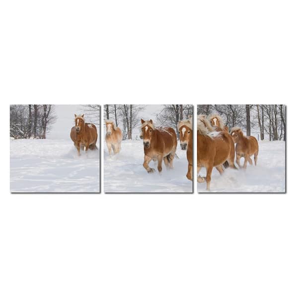 Baxton Studio Horse Herd Unframed Photography Wall Art 20 in. x 20 in