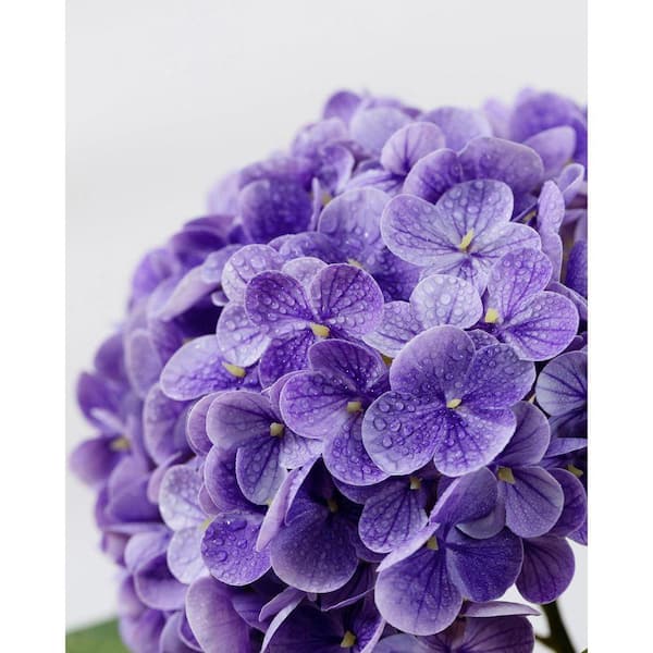 3-Piece 20 in. Purple Hydrangea Artificial Flowers Latex Real
