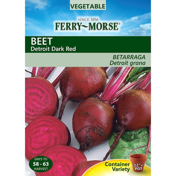 Ferry-Morse Beet Detroit Dark Red Vegetable Seed