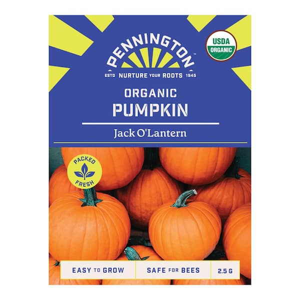 Pennington Organic Pumpkin Jack O'Lantern Fruit Seed