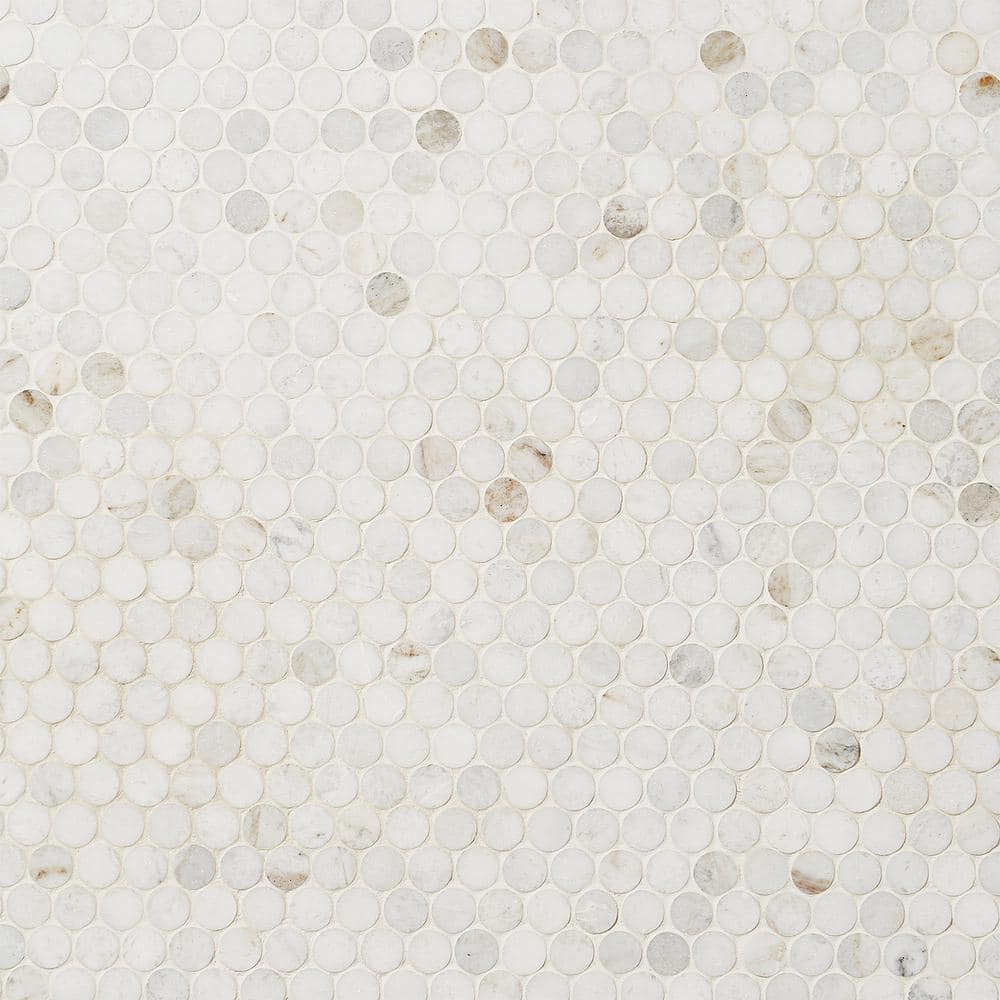 Polar White Penny Round Polished Marble Mosaic Tile