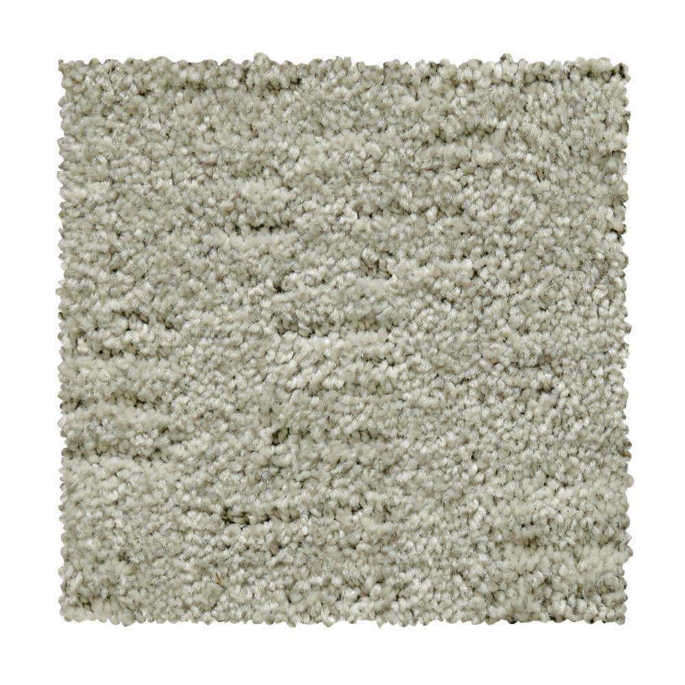 8 in. x 8 in. Pattern Carpet Sample - Corry Sound - Color Sterling price history on PriceWatchPro