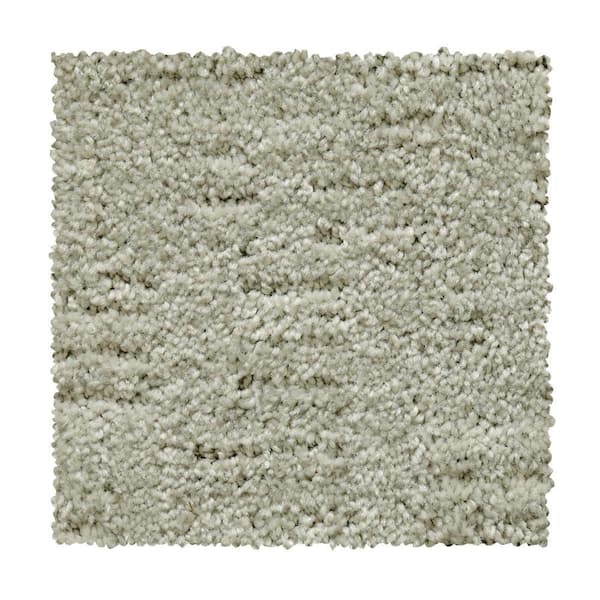 Home Decorators Collection 8 in. x 8 in. Pattern Carpet Sample - Corry Sound - Color Sterling