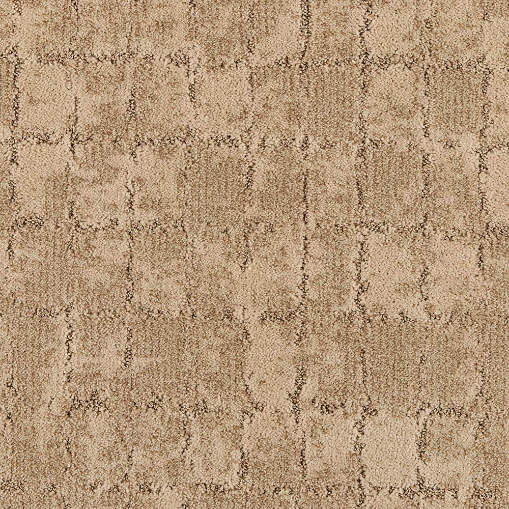 8 in. x 8 in. Pattern Carpet Sample - Posh Pattern -Color Unique price history on PriceWatchPro