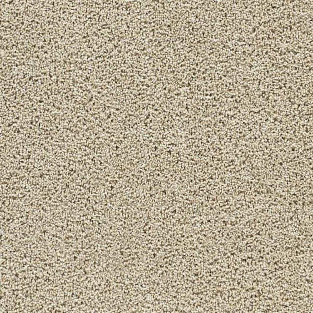 8 in. x 8 in. Texture Carpet Sample-Friendship Fables-Color Brave price history on PriceWatchPro