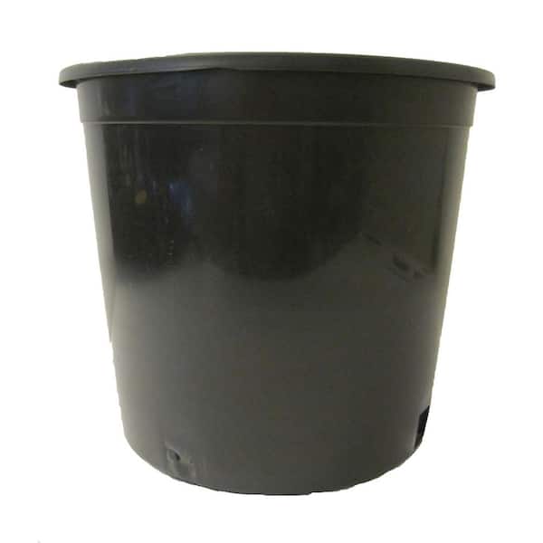 Niu 5 gal. Black Plastic Nursery Pot