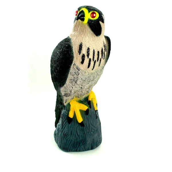 Bird-X Falcon Predator Decoy Bird Repellent Scare Pigeons