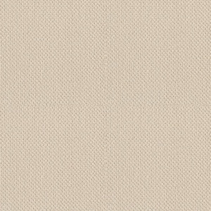 Lightbourne - Pearl - Beige 39.3 oz. Nylon Loop Installed Carpet