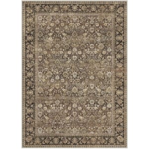 Thorn Garden Brown 9 ft. x 12 ft. Distressed Vintage Floral Area Rug