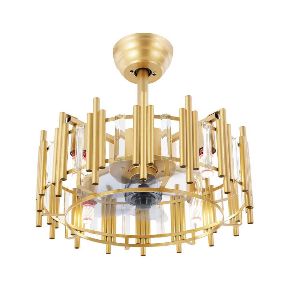20 in. Indoor Gold Modern Elegant Caged Ceiling Fan with Light Kit and Remote Control price history on PriceWatchPro