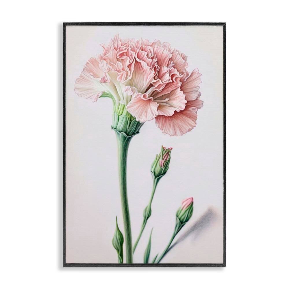 Pale Carnation Budding by Incado Black Framed Nature Giclee Art Print 30 in. x 20 in. price history on PriceWatchPro