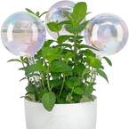 Plant Watering Globes, Hand Blown Colorful Glass Self Watering Globes Self Watering Planter Insert Plant Accessories