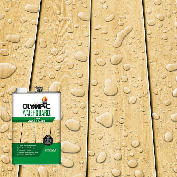 WaterGuard 1 gal. Clear Exterior Waterproofing Wood Sealer