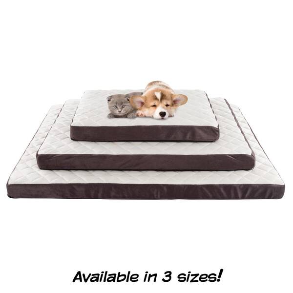 pets at home beds