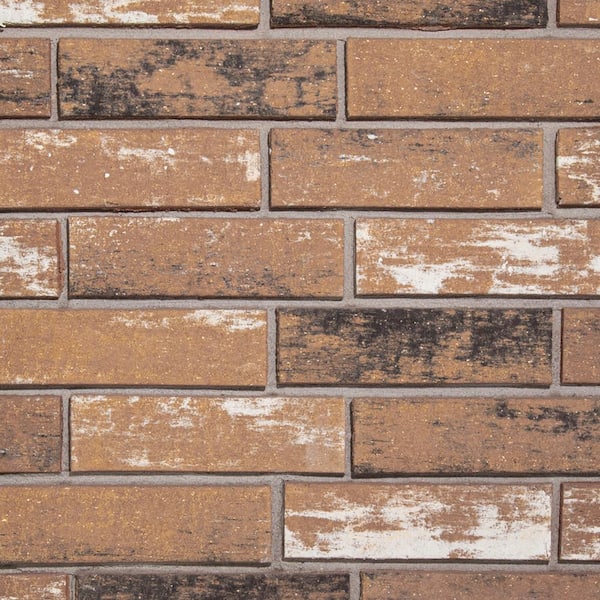 BE@BRICK bfhnnnv Z-Brick INCA 2.3-in x 8-in INCA Used Brick Veneer Individual