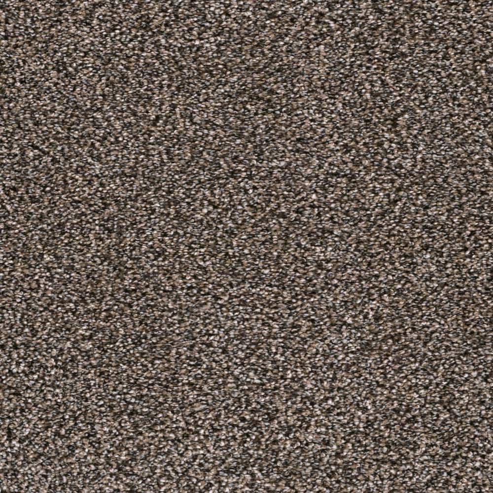 8 in. x  8 in. Texture Carpet Sample - Affectionate II -Color Devoted price history on PriceWatchPro