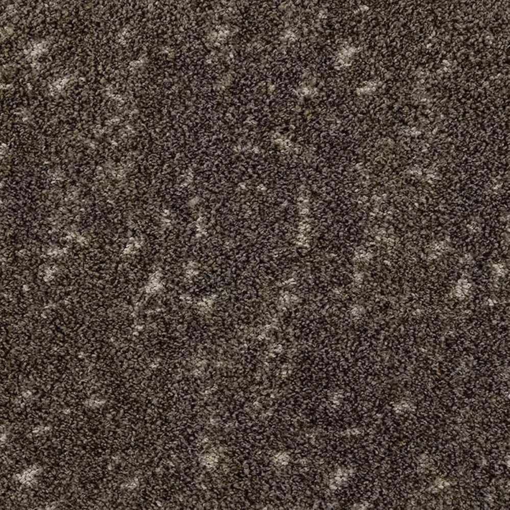 8 in. x 8 in. Pattern Carpet Sample - Tender Tomes - Color Chestnut price history on PriceWatchPro