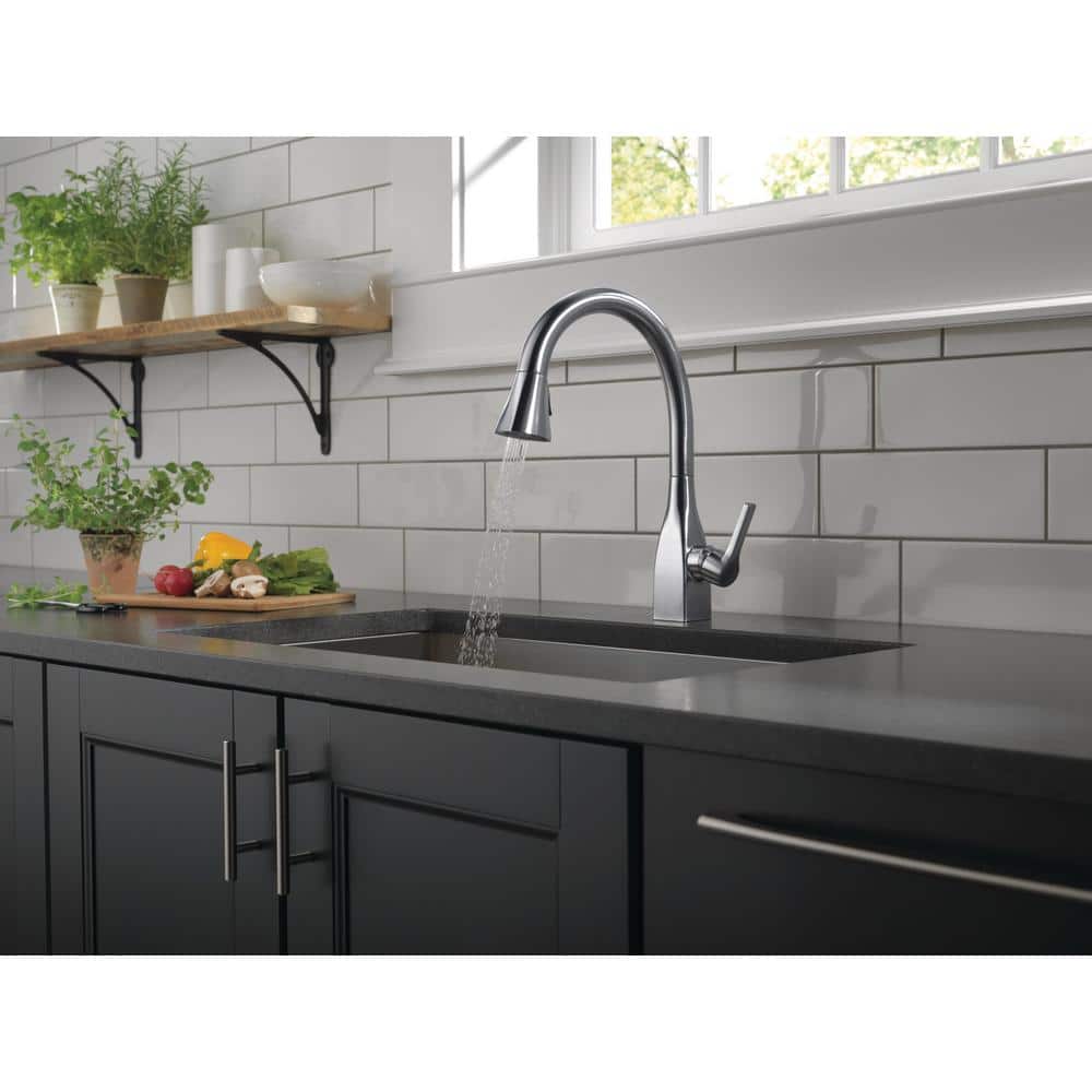 Arctic Stainless Single Handle Pull-Down Kitchen Faucet