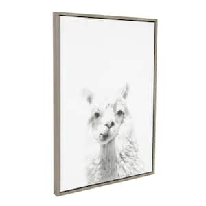 33 in. x 23 in. "Alpaca Portrait" by Tai Prints Framed Canvas Wall Art