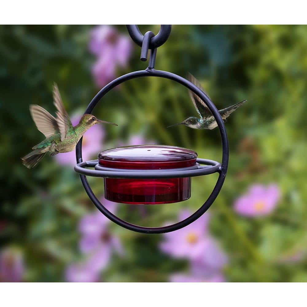 Circular Red Glass and Black Metal Hanging Hummingbird Feeder