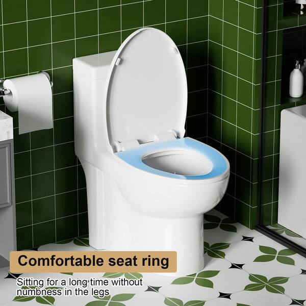 1.28 GPF Single-flush 1-Piece Toilet, Water-Saving Elongated