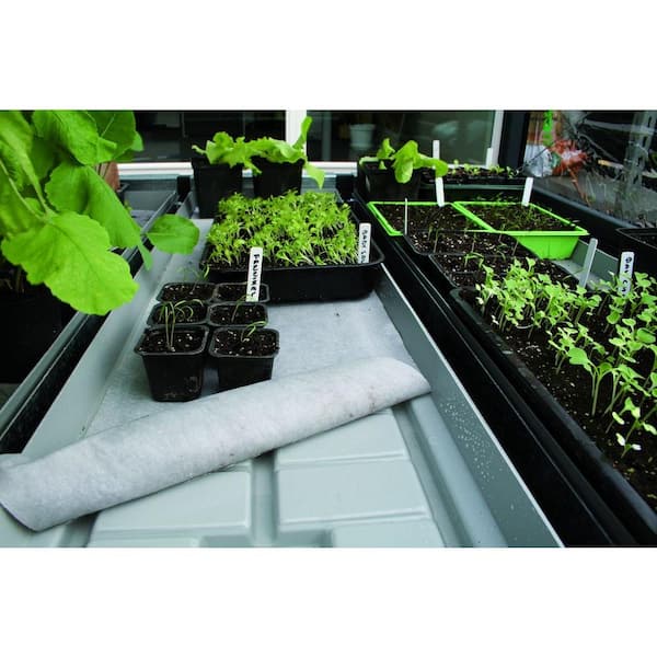 Unbranded Grow Camp Tray (Pack of 2)