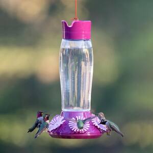 Hummer's Favorite Top-Fill Glass Hummingbird Feeder - 36 oz. Capacity